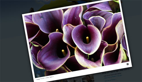 Most popular Wordpress plugin