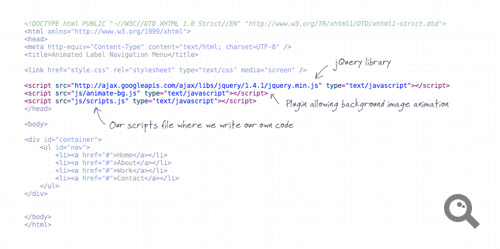 View the Javascript code