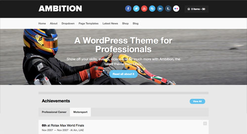 View the portfolio WordPress theme