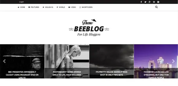 BeeBlog---A-Responsive-WordPress-Blog-Theme