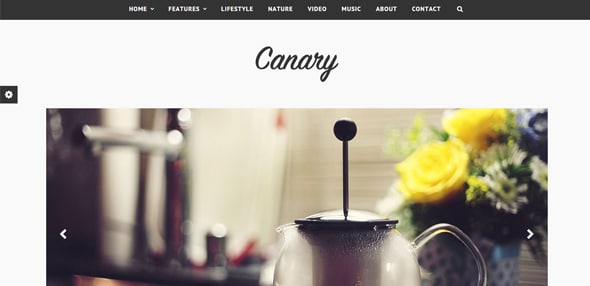 Canary---Minimal-WordPress-Blog-Theme