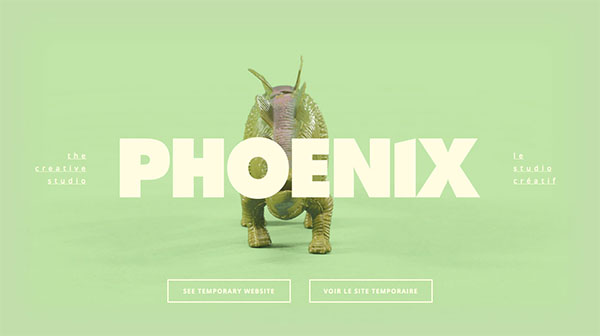 Phoenix the Creative Studio