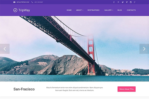 Travel Agency Responsive WordPress Theme