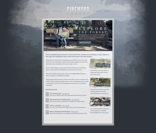 Pinewood Forest web design concept