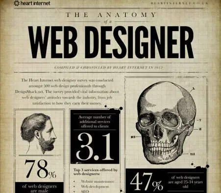 The anatomy web designer infographic