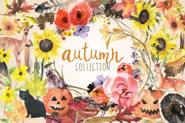 39-autumn-collection-o-800x533
