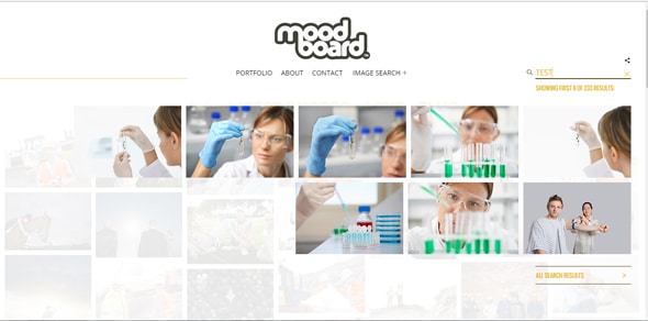 Moodboard Search Page Designs