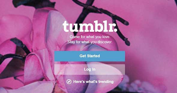 sign up _ tumblr 