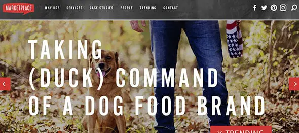 MarketPlace Tasty Website Designs from the Food Industry