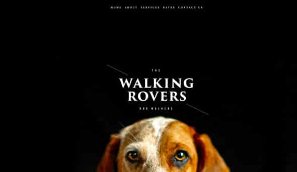 Walking Rovers Squarespace Template