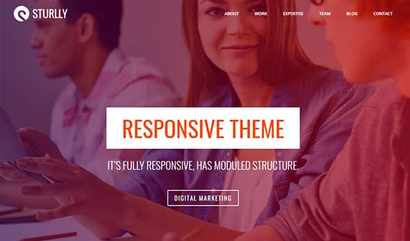 Sturlly - Responsive one page theme Responsive Website Template