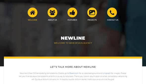 Live View - templatemo 503 newline Free HTML Website Template