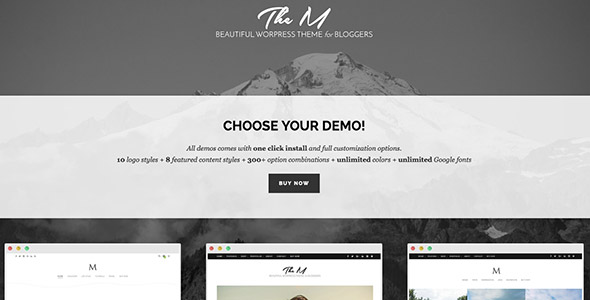 15 TheM - Minimal Creative WordPress Blog Theme