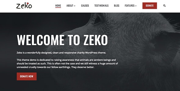 14 Zeko non-profit WordPress theme