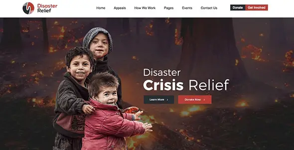 19 Disaster Relief non-profit WordPress theme