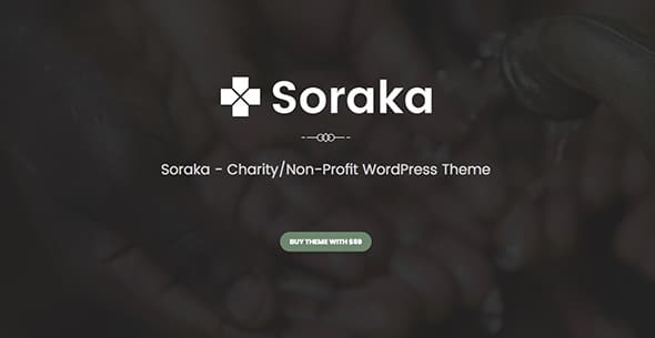 7 Soraka non-profit WordPress theme