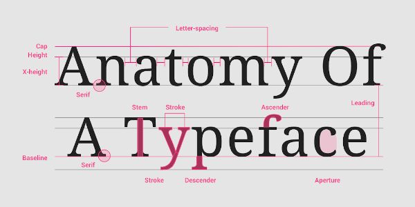 understand typeface usage