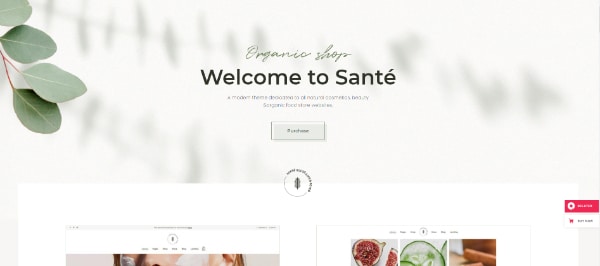 Creative WordPress Themes for Selling Organic Products: Sante