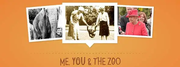 Me You and the Zoo - Chester Zoo History scrolling website 
