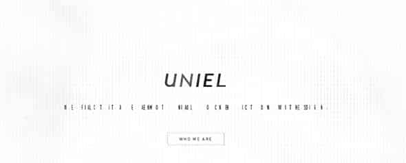 UNIEL website design 