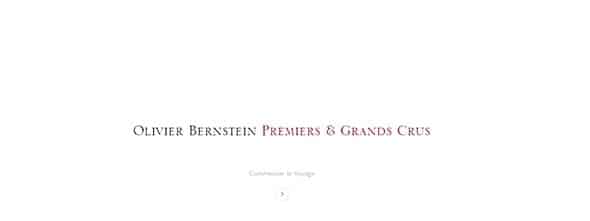 Olivier Bernstein website design
