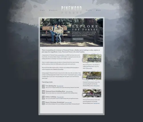 Pinewood Forest web design concept