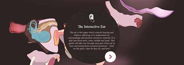 Interactive Ear tool by Amplifon Illustrated websites