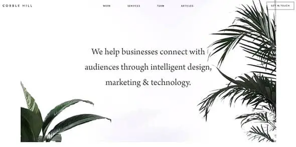 Cobble Hill Web Designs with Stunning Video Backgrounds