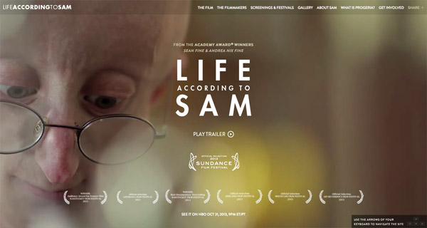 Life According to Sam Web Design video