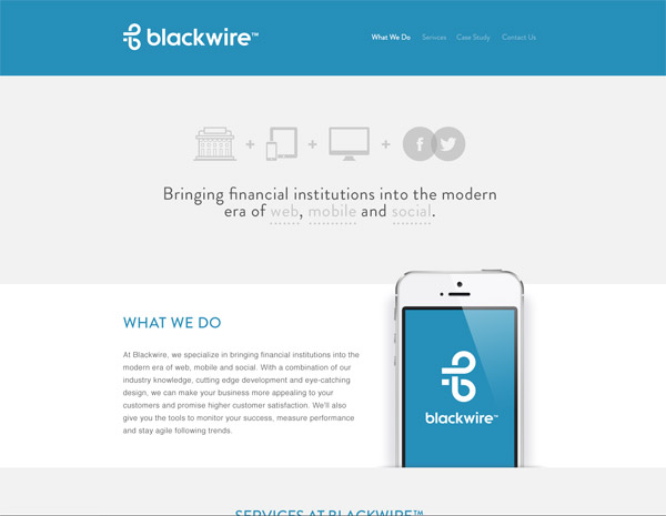 Blackwire by Charlie Waite Web Design Concepts