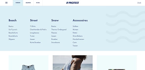 Protest Boardwear Website Design