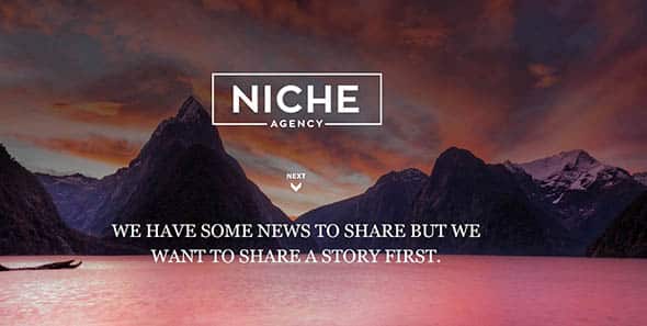 Niche agency Splash Screens websites