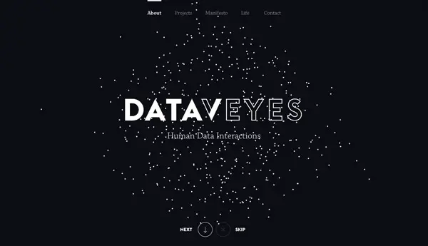 Dataveyes Innovative Websites