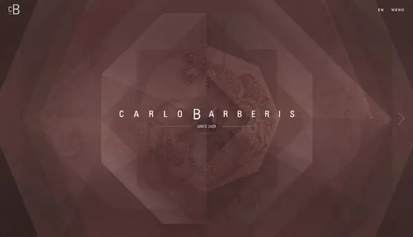 Carlo Barberis Innovative Websites