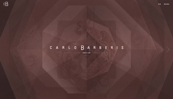 Carlo Barberis Innovative Websites