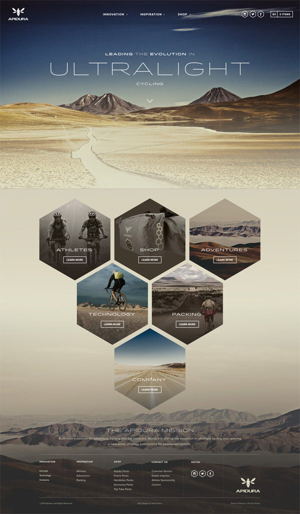 Apidura fullpage website