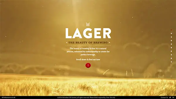 The Beauty of Brewing Subtle Motion in Web Design