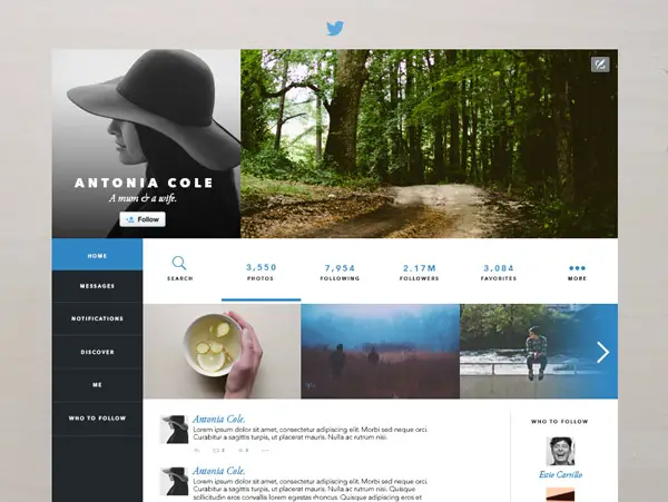 Twitter Layout Redesign by Estie Carrillo