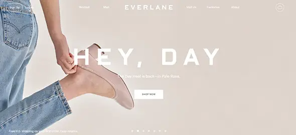Everlane User-Friendly Website Concept