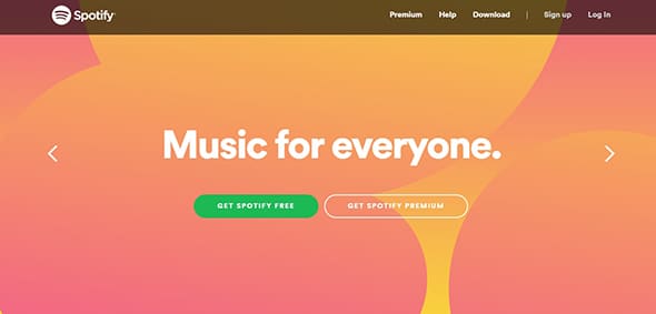 Spotify User-Friendly Website Concept