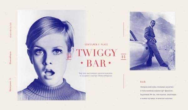 Twiggy Bar Website Concept