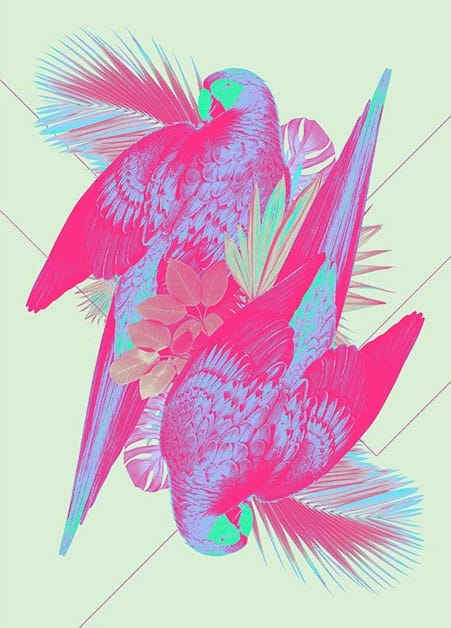 Birds-&-bones-Print-by-Ricardo-Garcia