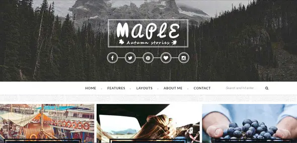Maple---Responsive-WordPress-Blog-Theme