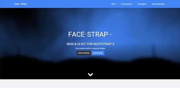 FaceStrap Bootstrap Skins