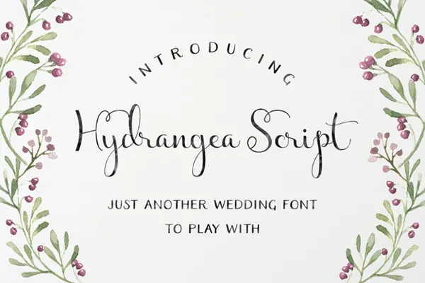 Hydrangea Script