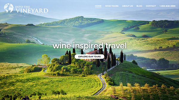 Into the Vineyard splash page design