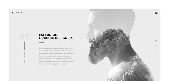 Furion---Freelancer-Portfolio