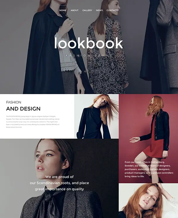 49. 1 fashion html5 website template