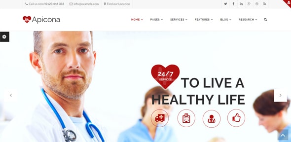 Apicona WordPress Theme Medical Website Designs