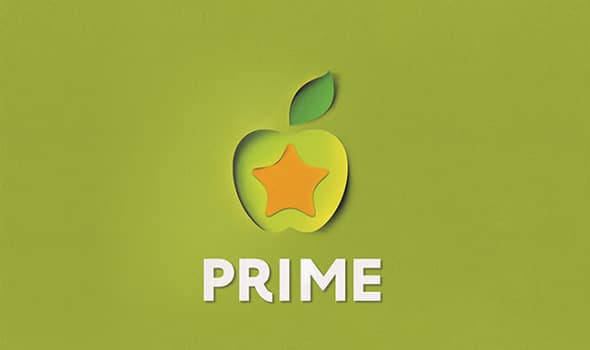 Prime Star fast food restaurant chain Identity Projects